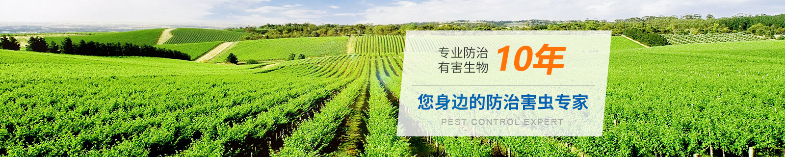 内页banner